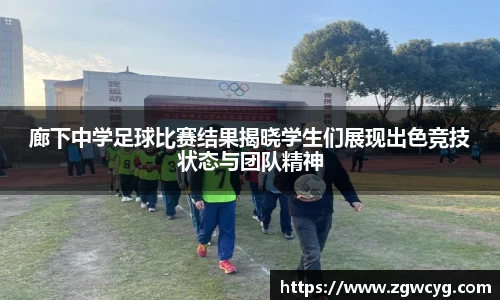3377体育官网