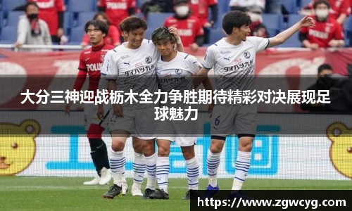 3377体育app