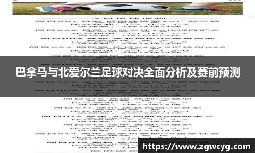 3377体育