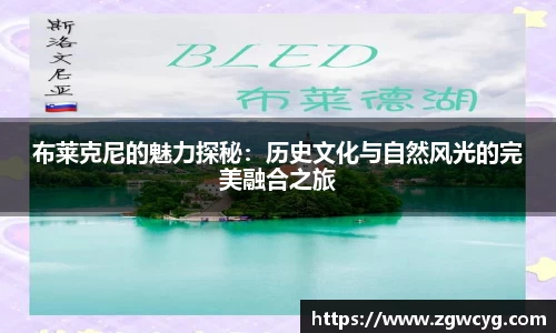 3377体育
