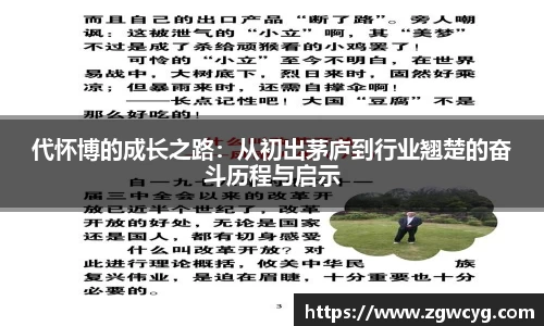 3377体育官网