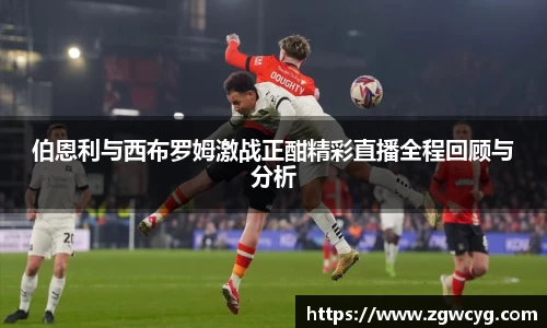 3377体育官网