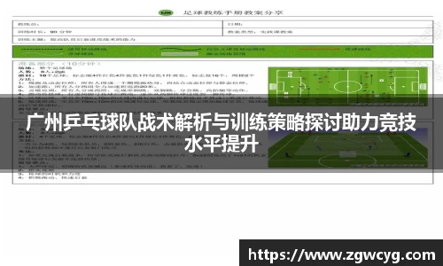3377体育官网