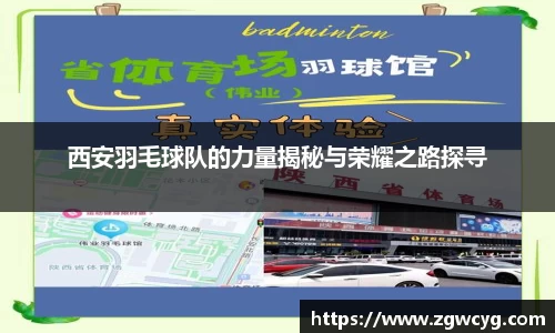 3377体育官网