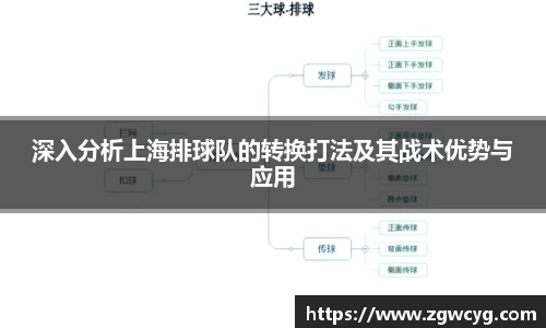 3377体育官网